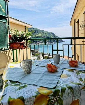 Calipso Levanto